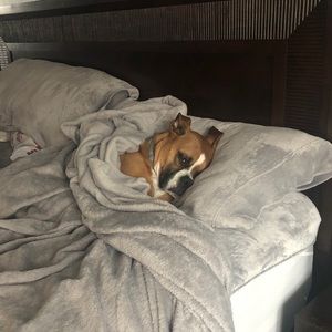 Meet your Posher, Sean